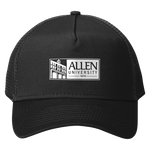 Allen University - Cap